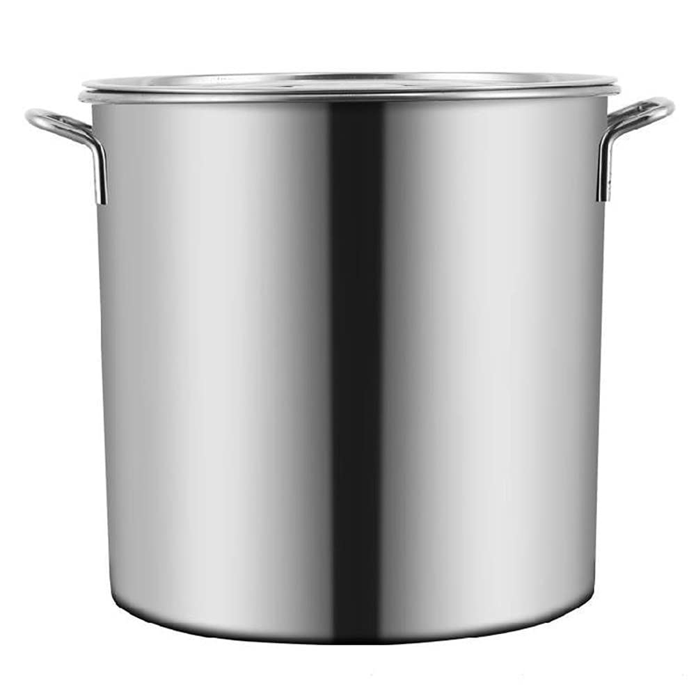 Stainless Steel 40 Quart Stock Pot with Lid E861