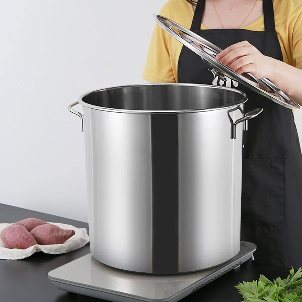 Stainless Steel 40 Quart Stock Pot with Lid E861