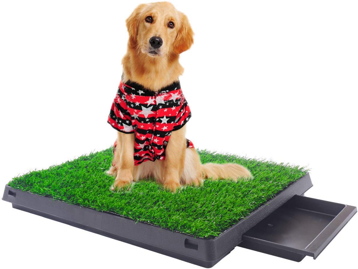 Indoor Outdoor Dog Puppy Potty Trainer Pad Grass Toilet Mat Tray 25"x20" R47459