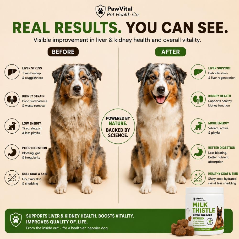 Milk Thistle Liver Support Chews with Salmon Oil & Curcumin U682928