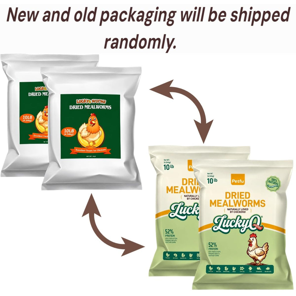Dried Mealworms High Protein Birds Treat N787