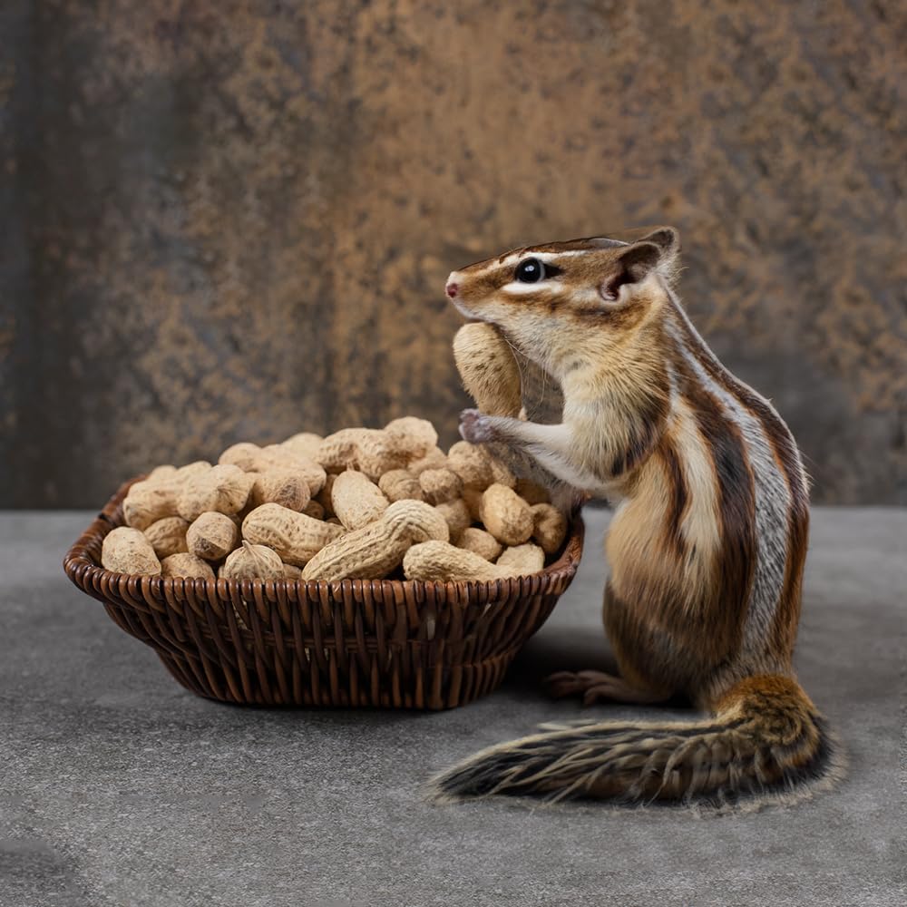 Peanuts In Shell 2 lbs W148