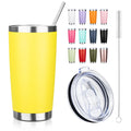 20oz Stainless Steel Vacuum Insulated Tumbler with Straw Q187845