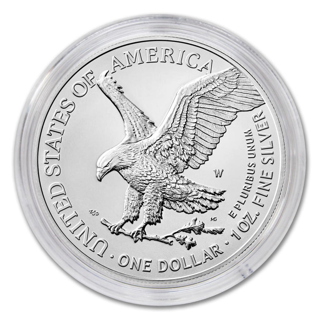 1 oz American Silver Eagle Coin K8740
