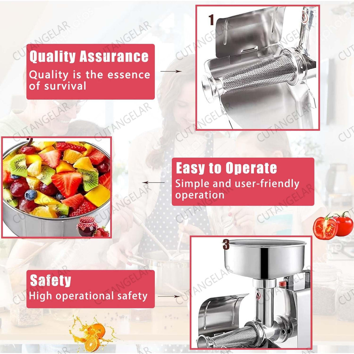 450W Automatic Stainless Steel Tomato Strainer W126500