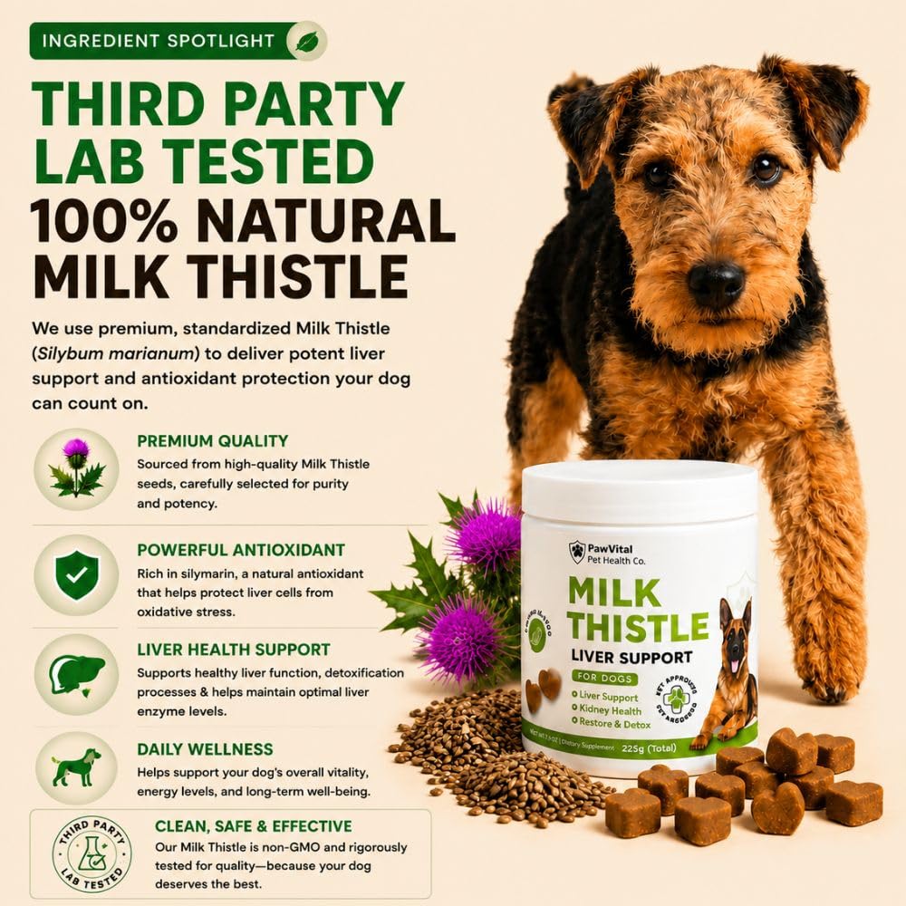 Milk Thistle Liver Support Chews with Salmon Oil & Curcumin U682928