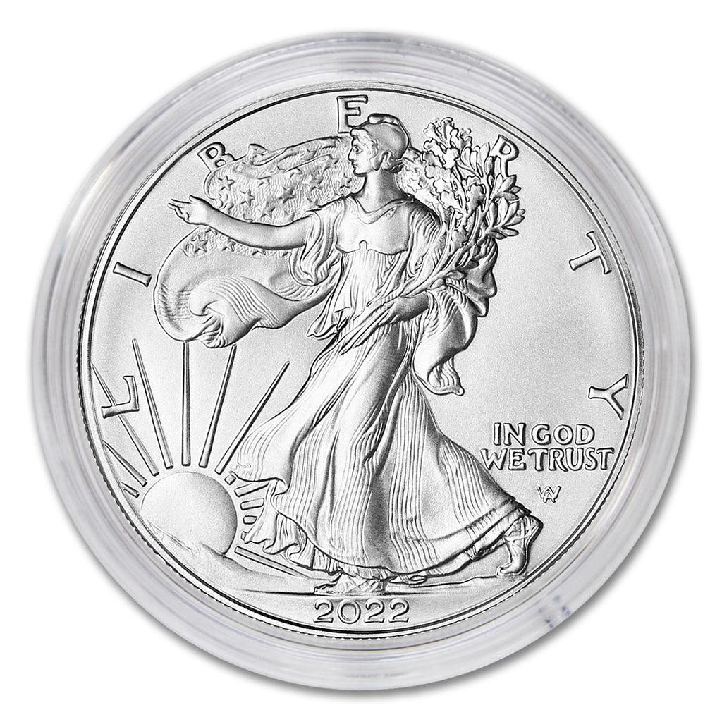 1 oz American Silver Eagle Coin K8740