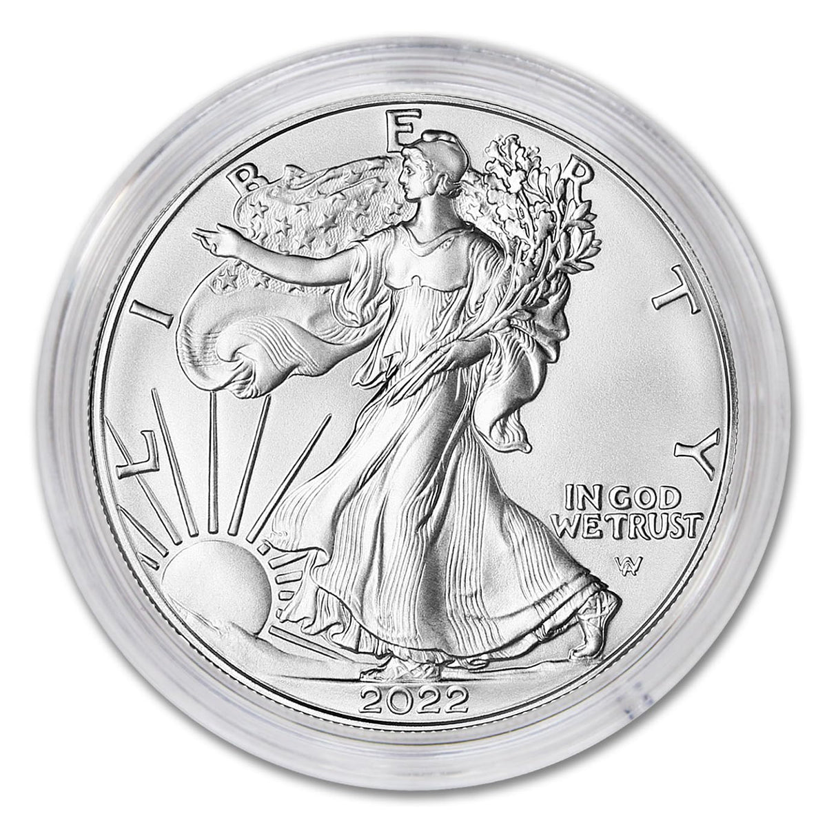 1 oz American Silver Eagle Coin K8740