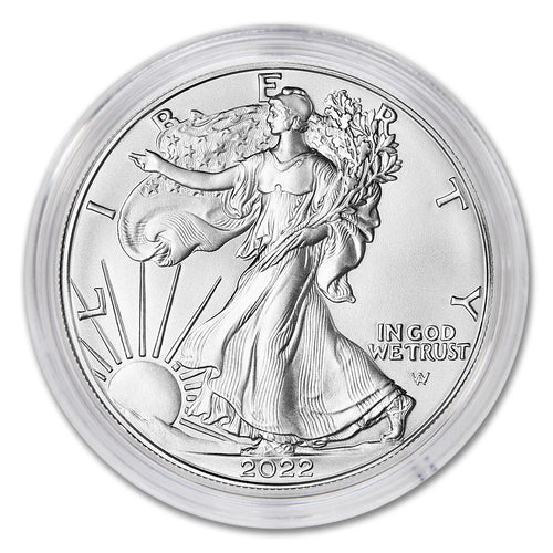 1 oz American Silver Eagle Coin K8740