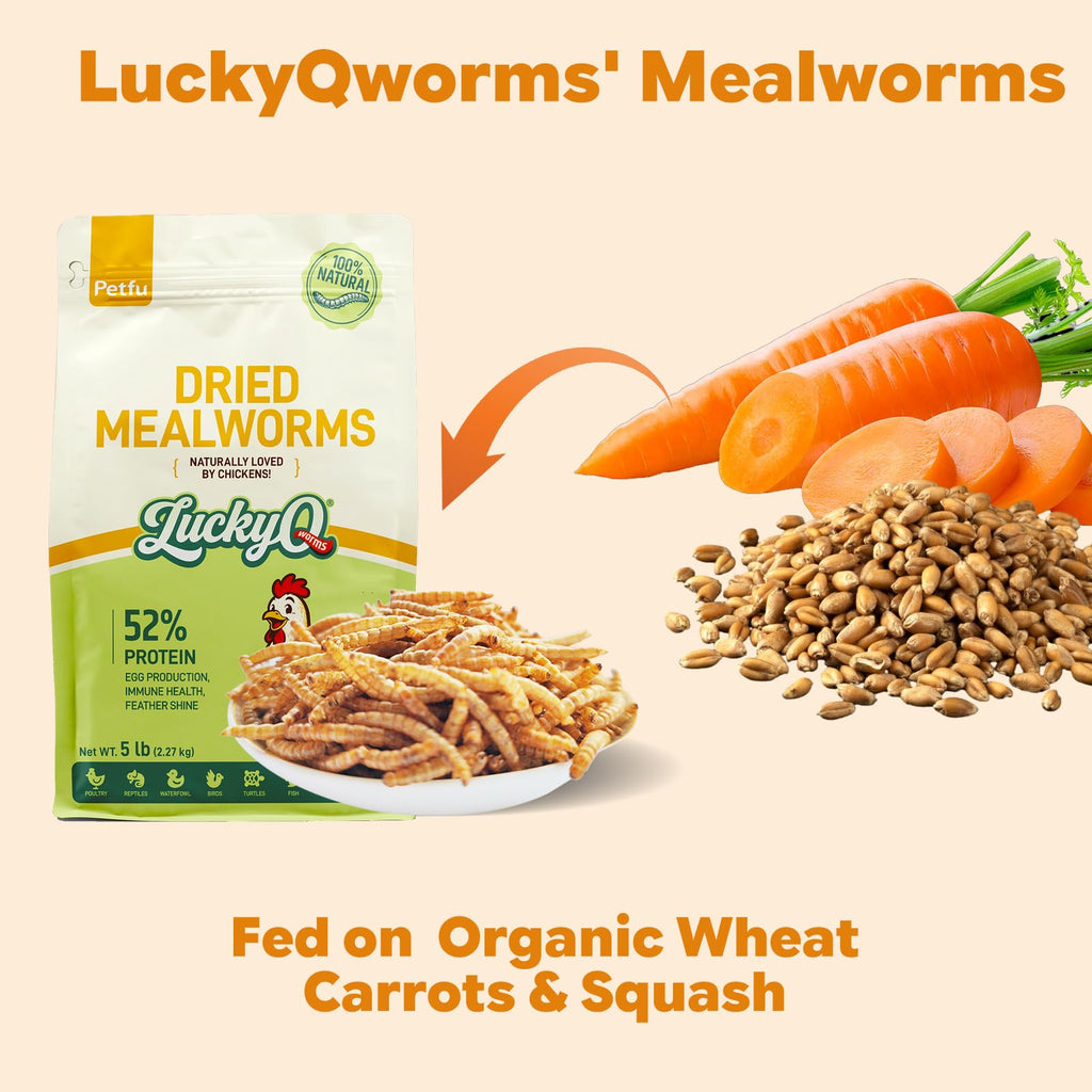 Dried Mealworms High Protein Birds Treat N787