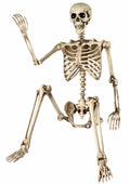 5.4 Ft Life Size Posable Skeleton X129663