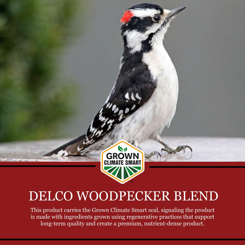 Wild Bird Seed 20 lb Bag Fruit & Nut with Sunflowers C84742