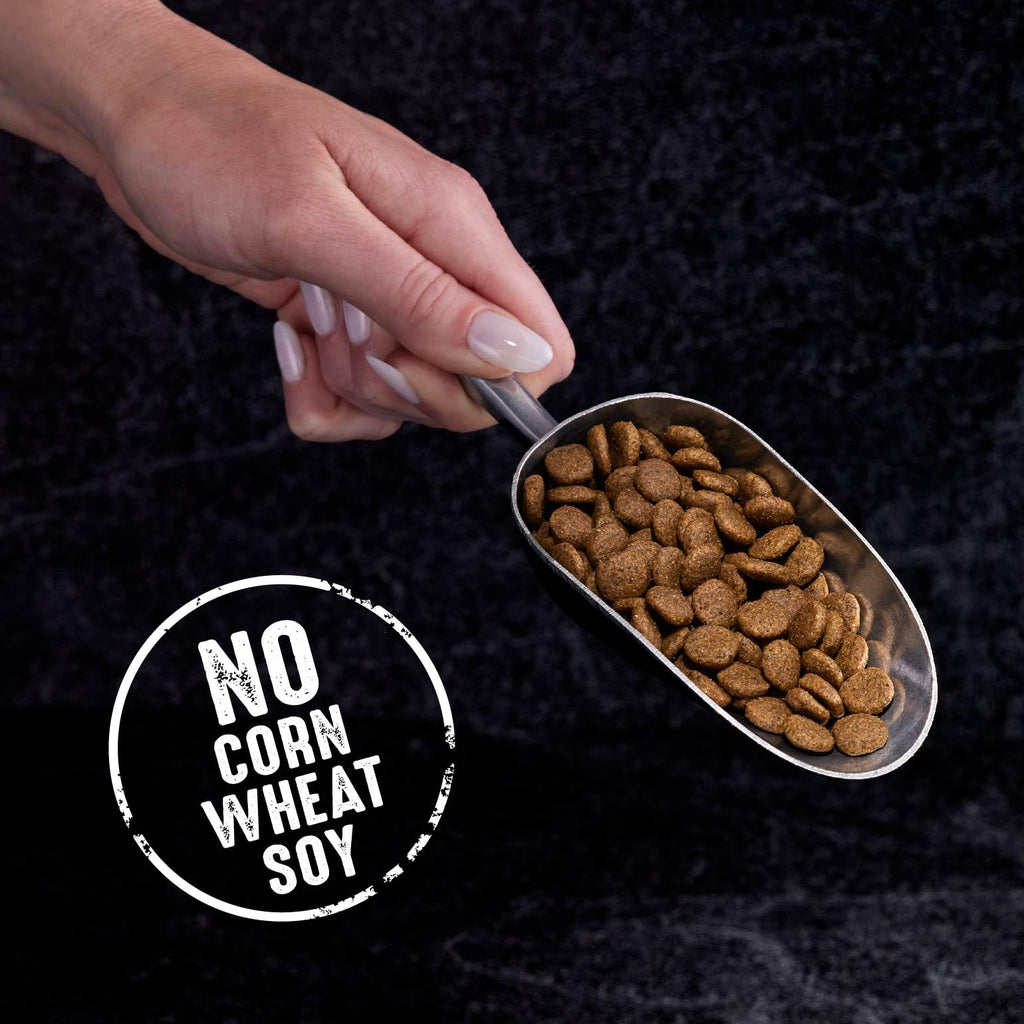 Grain Free High Protein Natural Dry Cat Food, Chicken, 4 lb S828