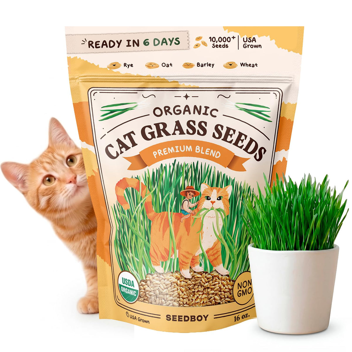 Organic Non-GMO Cat Grass Seeds 16 oz B769489