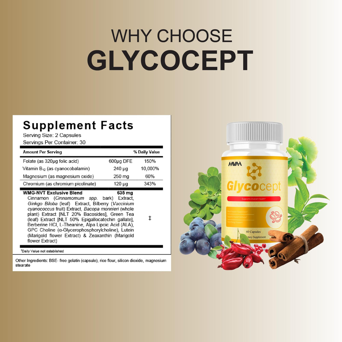 5 Pack 300 Capsules Blood Support C32472