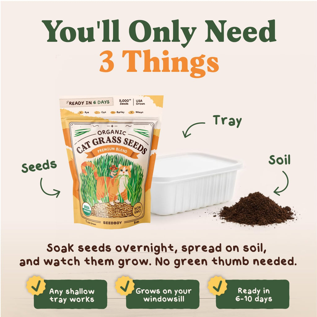 Organic Non-GMO Cat Grass Seeds 16 oz B769489
