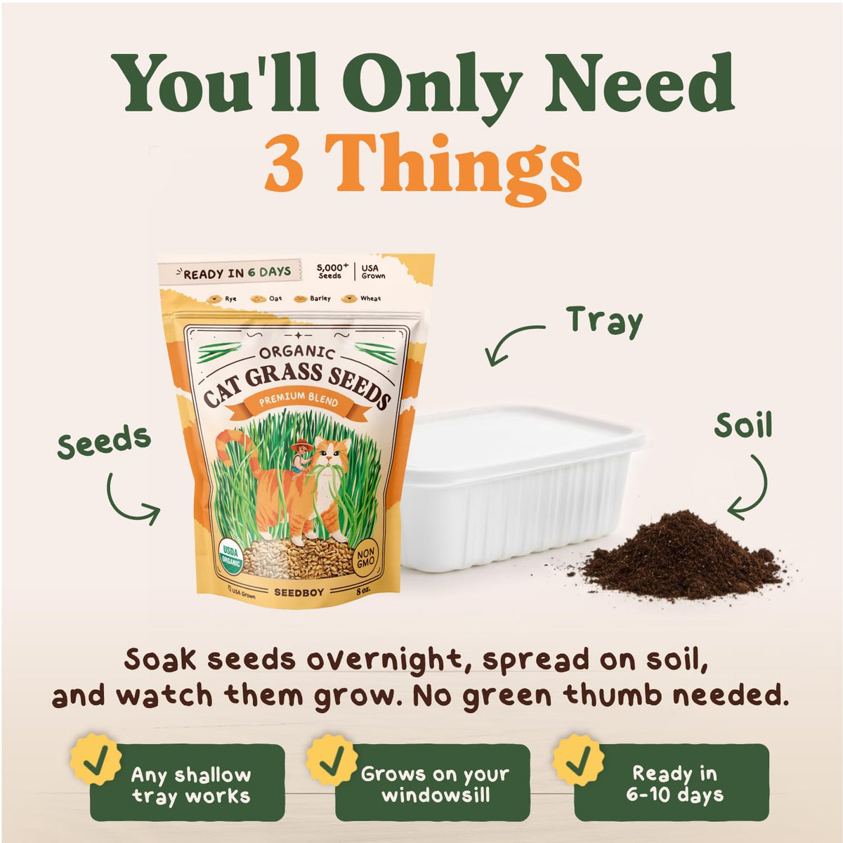 Organic Non-GMO Cat Grass Seeds 16 oz B769489