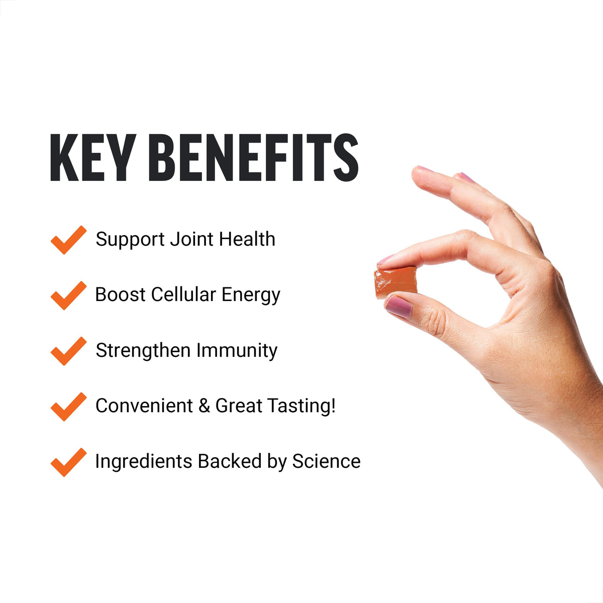 Beet Powder & Turmeric Joint Support Supplement F90876