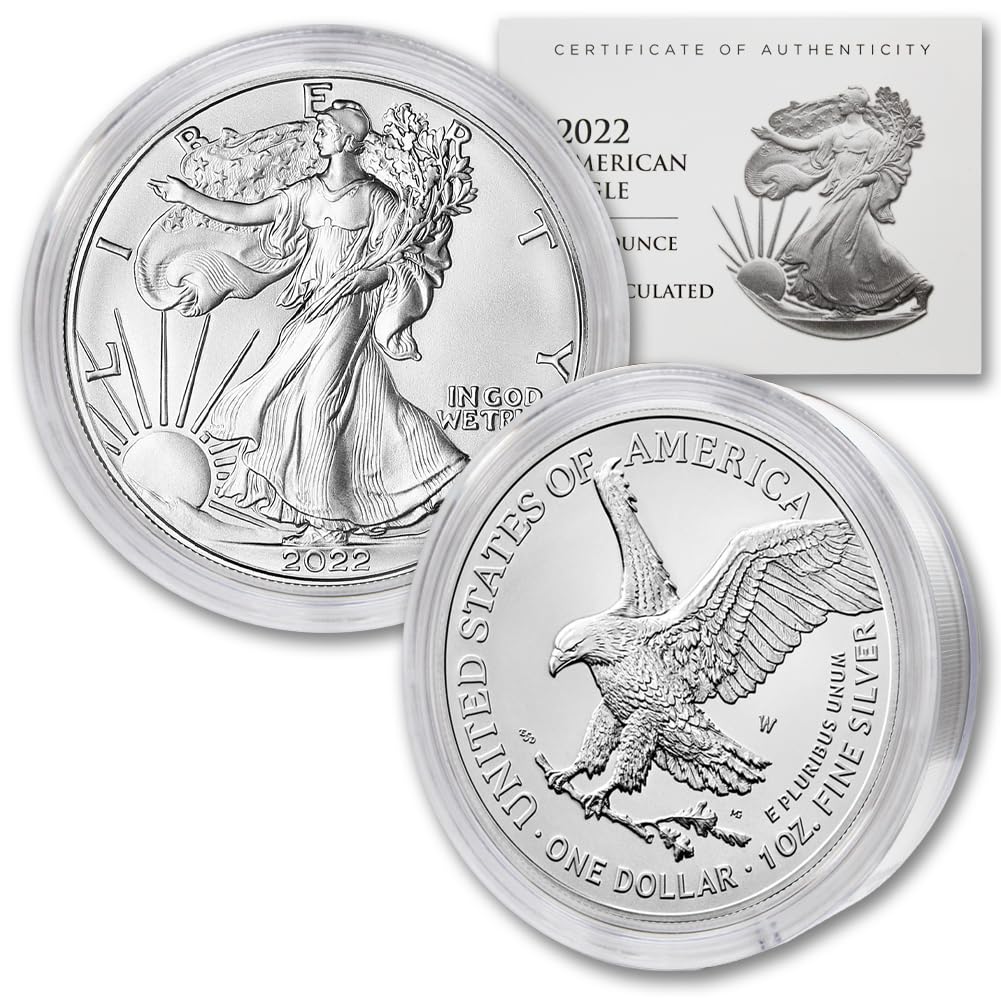 1 oz American Silver Eagle Coin K8740