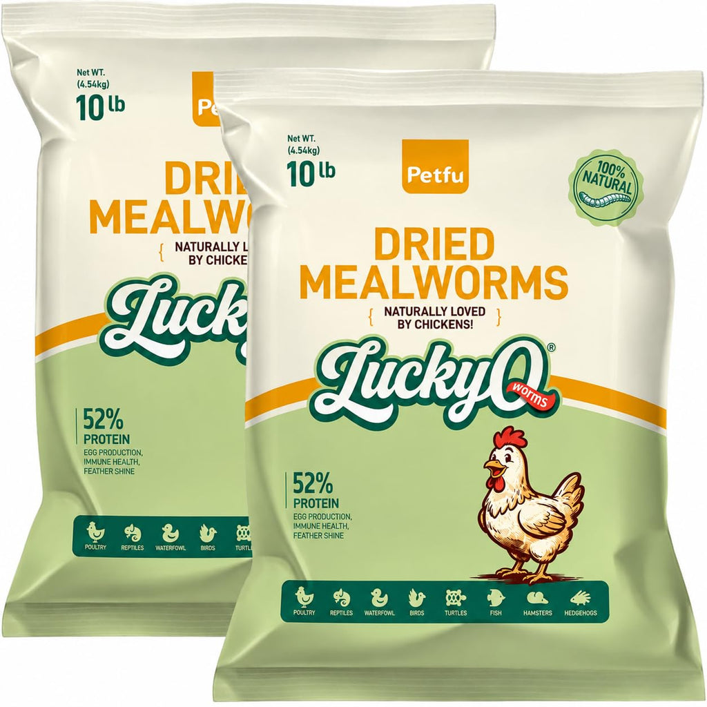 Dried Mealworms High Protein Birds Treat N787