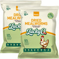 Dried Mealworms High Protein Birds Treat N787