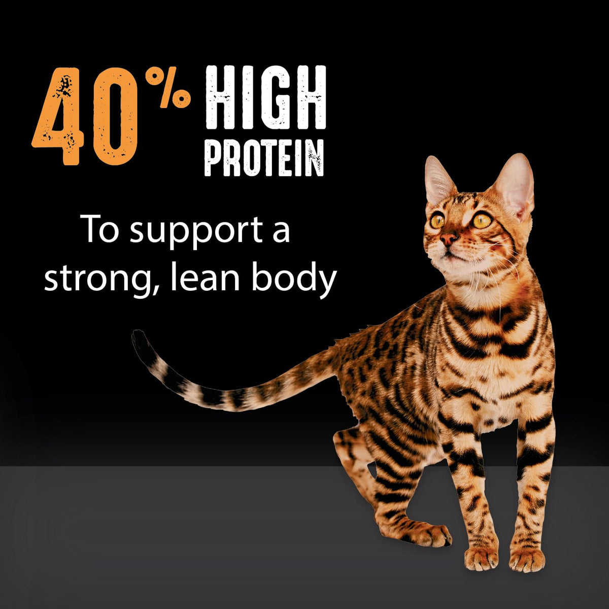 Grain Free High Protein Natural Dry Cat Food, Chicken, 4 lb S828