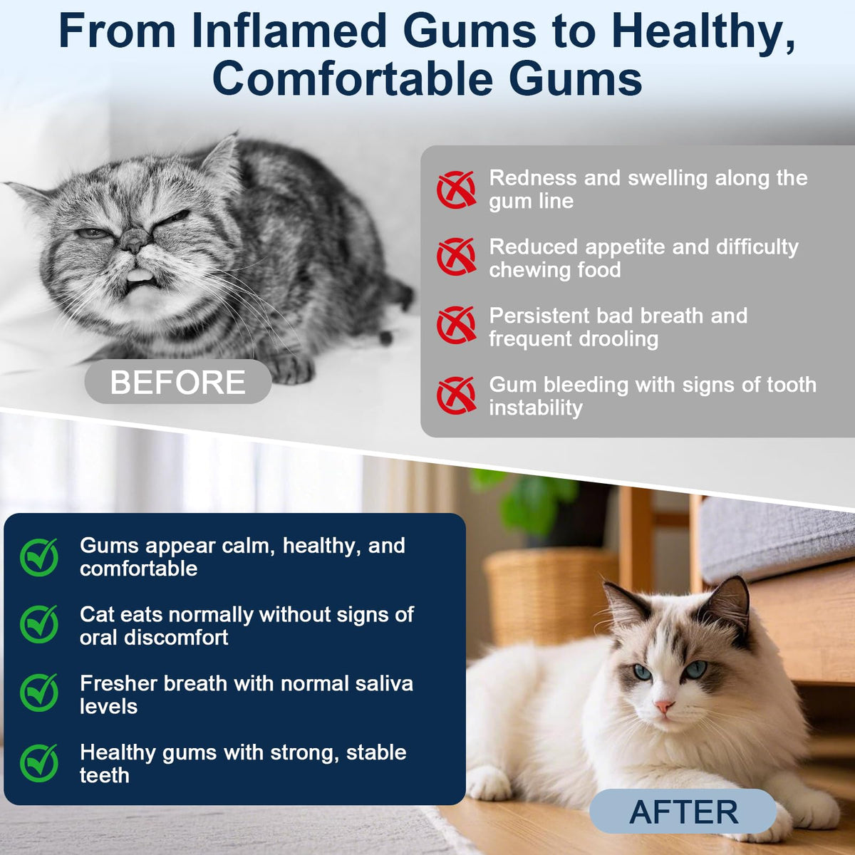 Cat Oral Care N951844