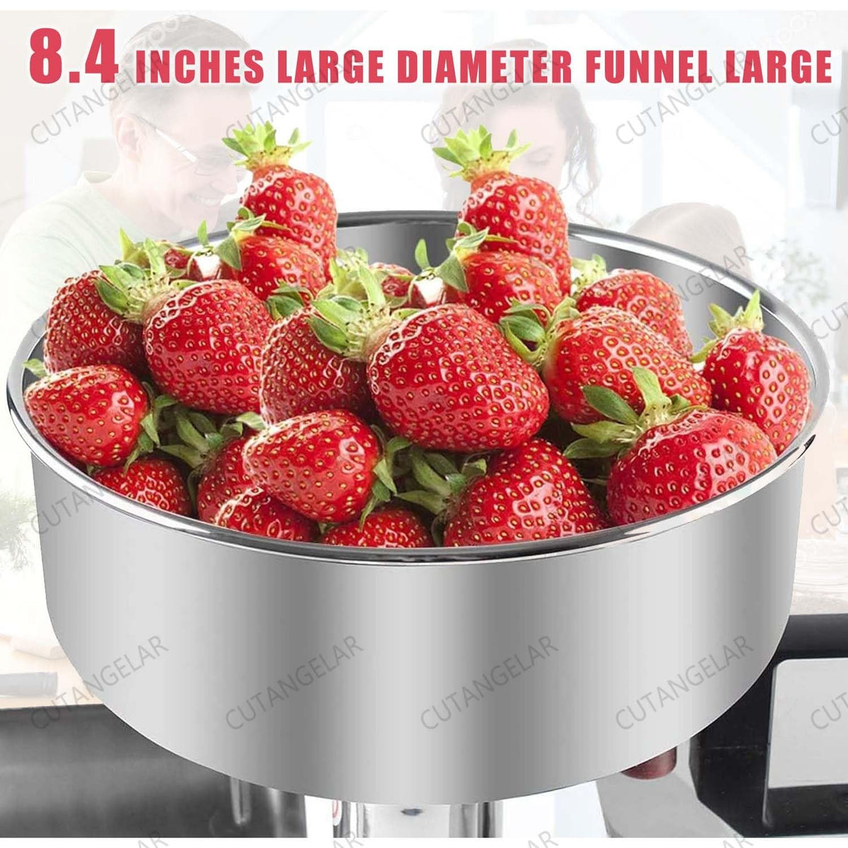 450W Automatic Stainless Steel Tomato Strainer W126500