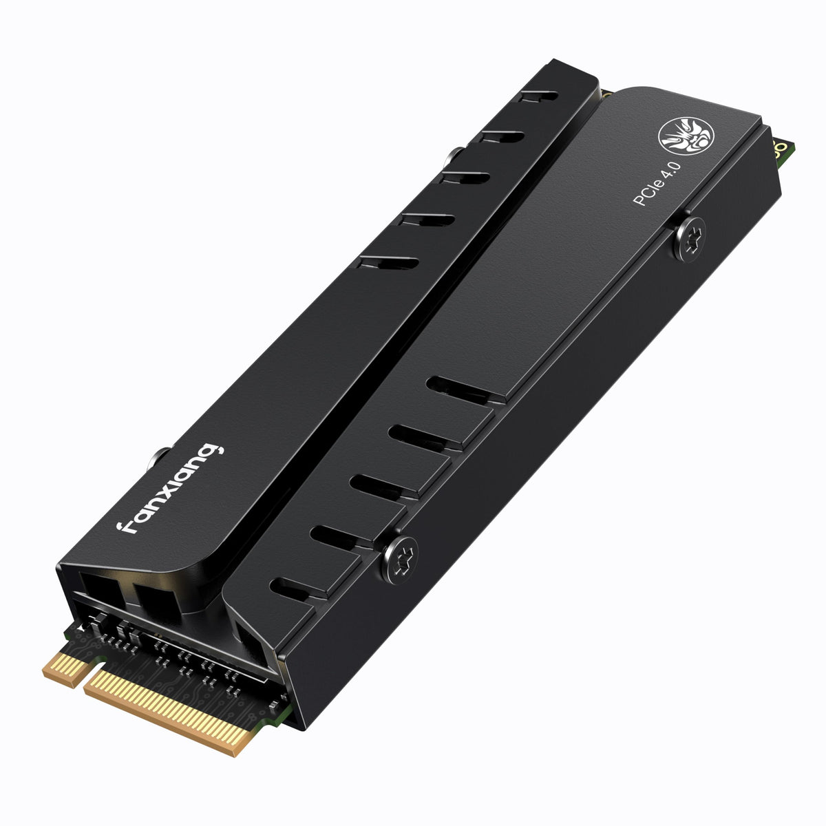 1TB NVMe M.2 SSD with Heatsink and DRAM J664