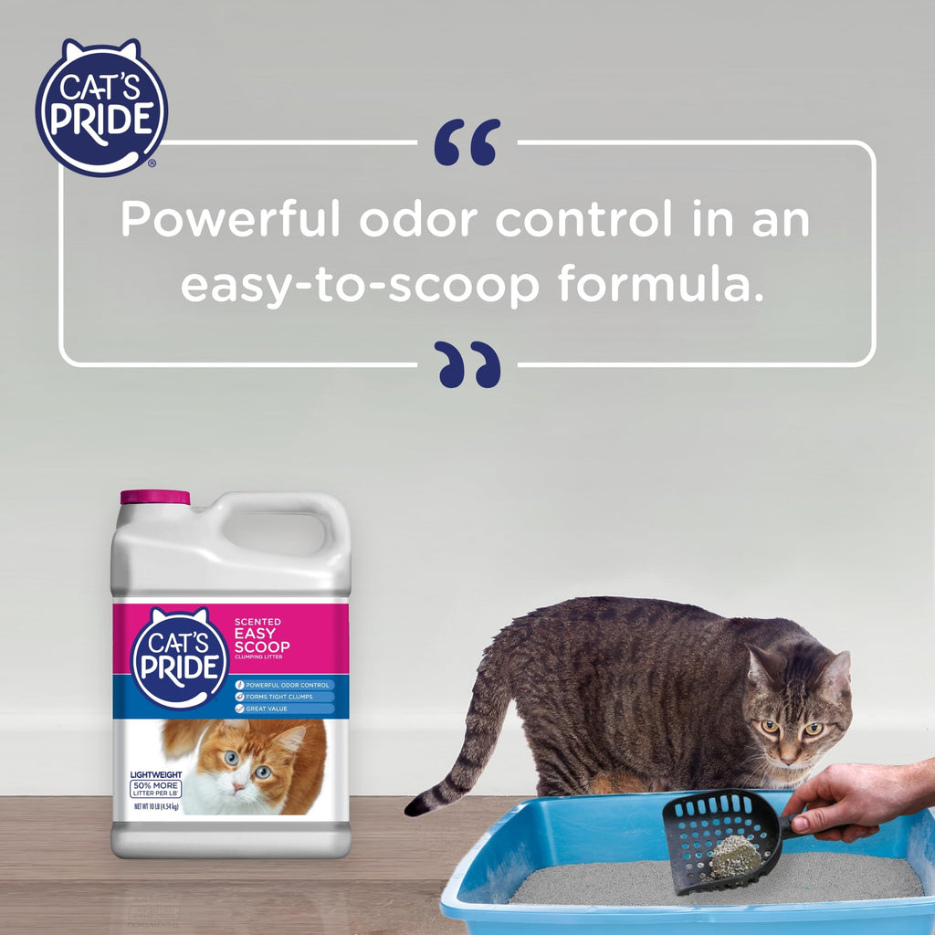 Scented Clumping Cat Litter 10lb Y2733