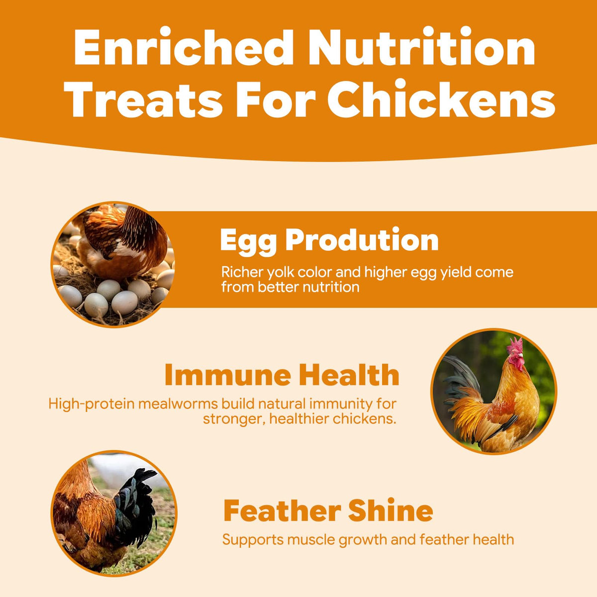 Dried Mealworms High Protein Birds Treat N787