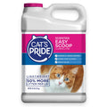Scented Clumping Cat Litter 10lb Y2733