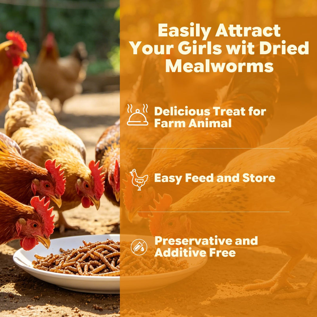 Dried Mealworms High Protein Birds Treat N787