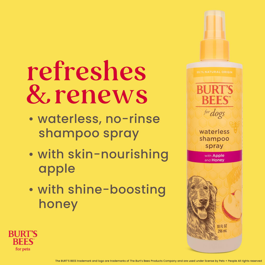 Waterless Shampoo Spray with Apple & Honey, 10 Fl Oz C325226