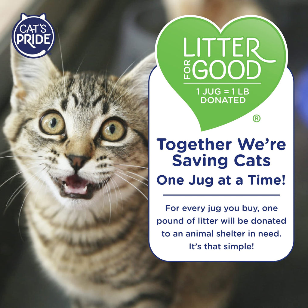 Scented Clumping Cat Litter 10lb Y2733