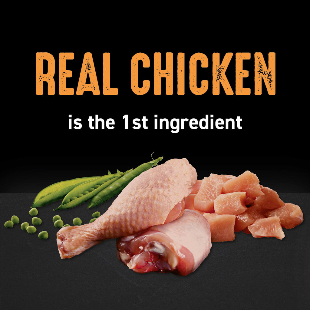 Grain Free High Protein Natural Dry Cat Food, Chicken, 4 lb S828