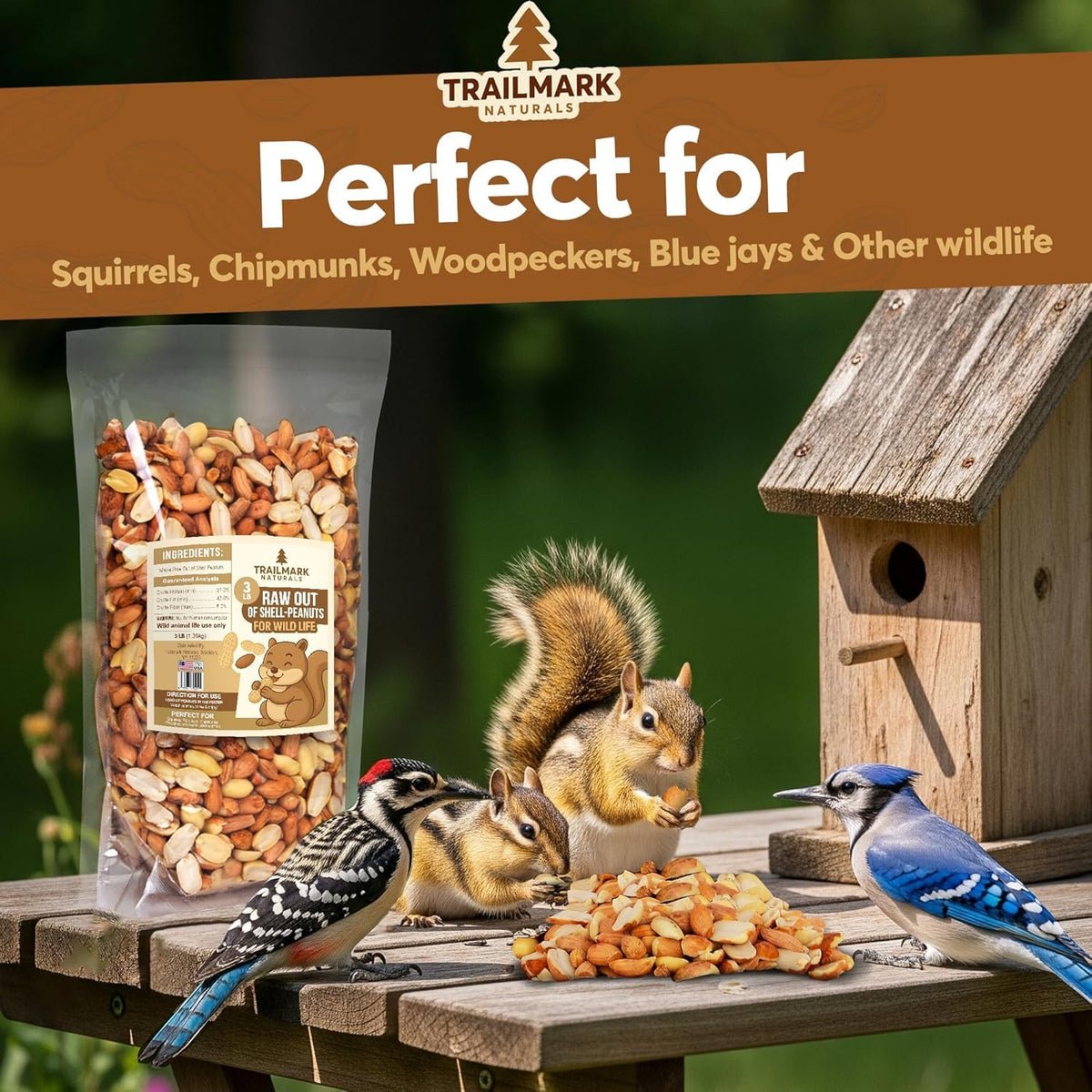 Raw Shelled Peanuts S417026