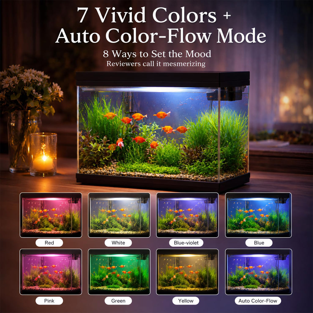 2.4 Gallon Desktop Betta Fish Tank Starter Kit Y6994