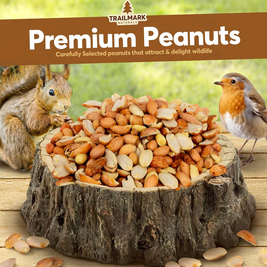 Raw Shelled Peanuts S417026