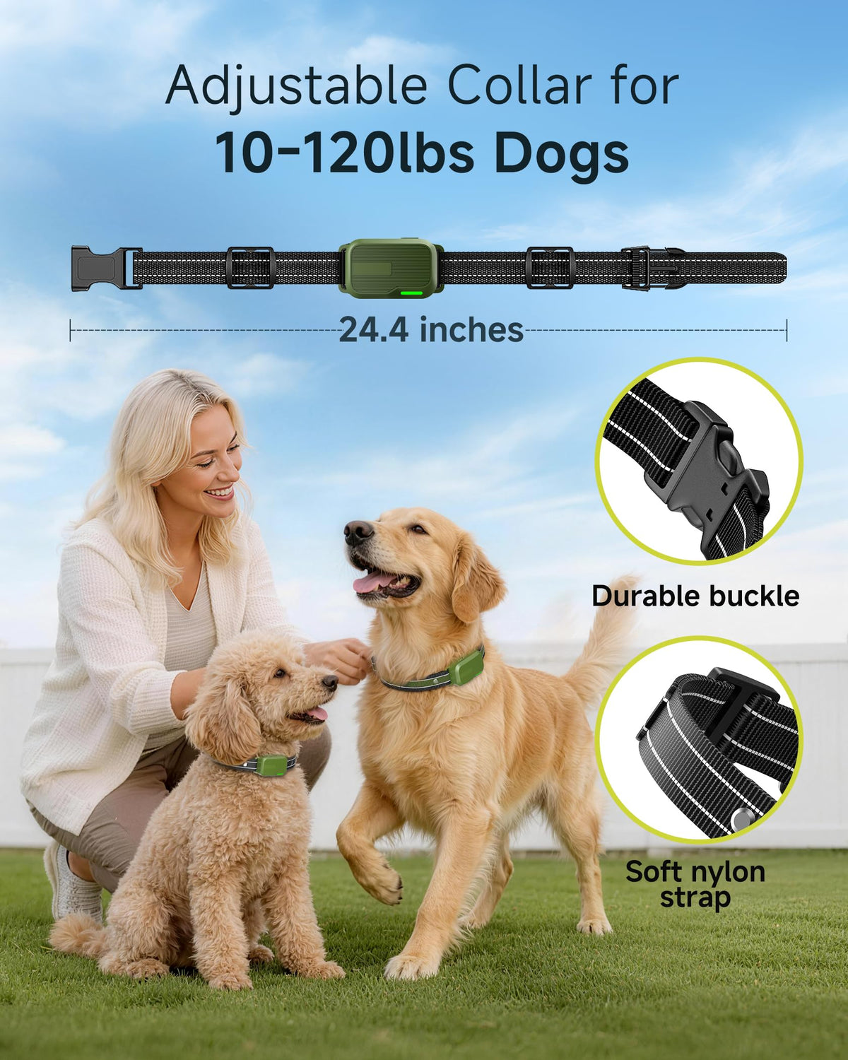 2 Dogs Training Collar with Remote M9518