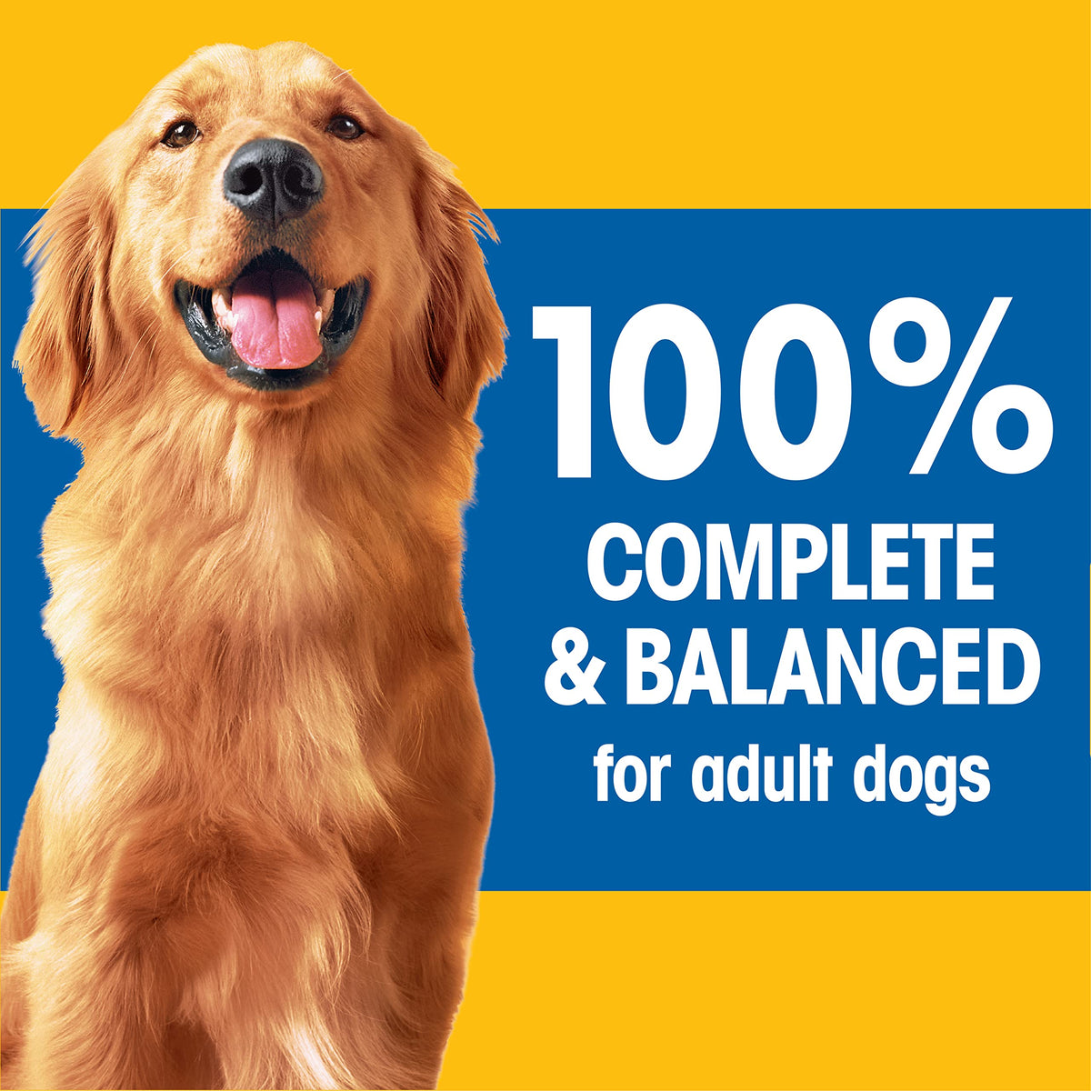 Adult Dry Dog Food Roasted Chicken Rice & Vegetable Flavor Kibble 16 lb. Bag B24801