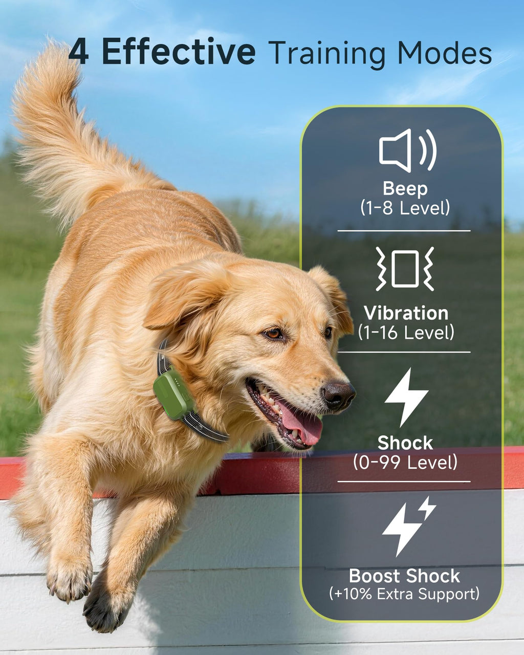 2 Dogs Training Collar with Remote M9518