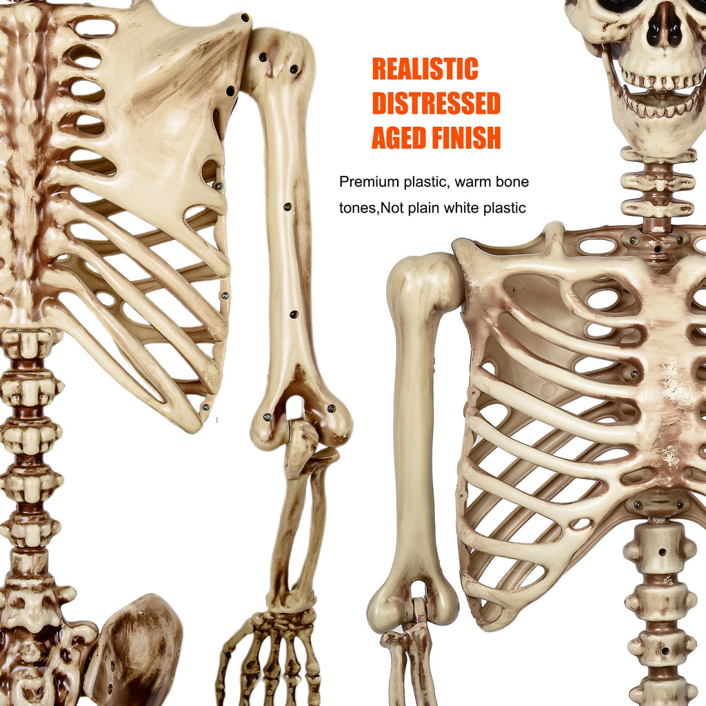 5.4 Ft Life Size Posable Skeleton X129663