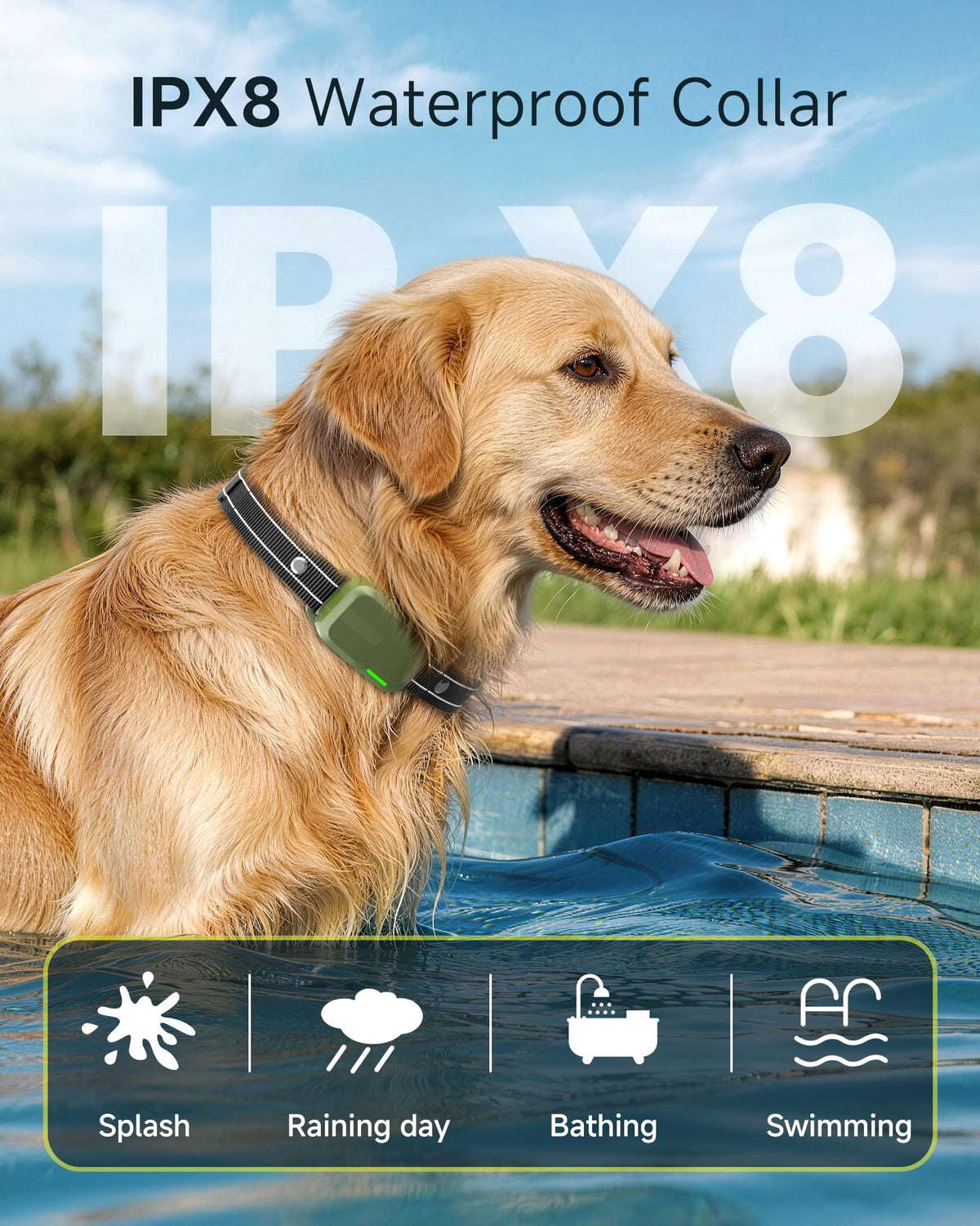 2 Dogs Training Collar with Remote M9518