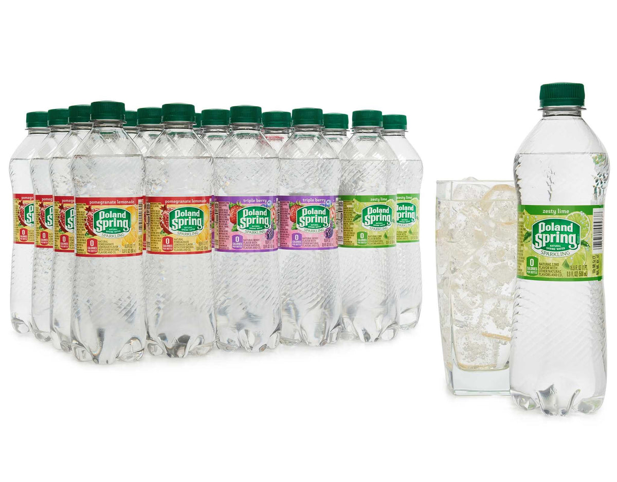 Sparkling Natural Spring Water Variety Pack 24 Half Liter Bottles J719