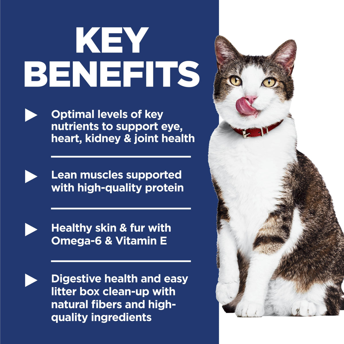 Indoor Dry Cat Food C365