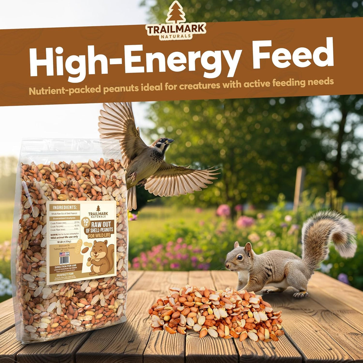 Raw Shelled Peanuts S417026