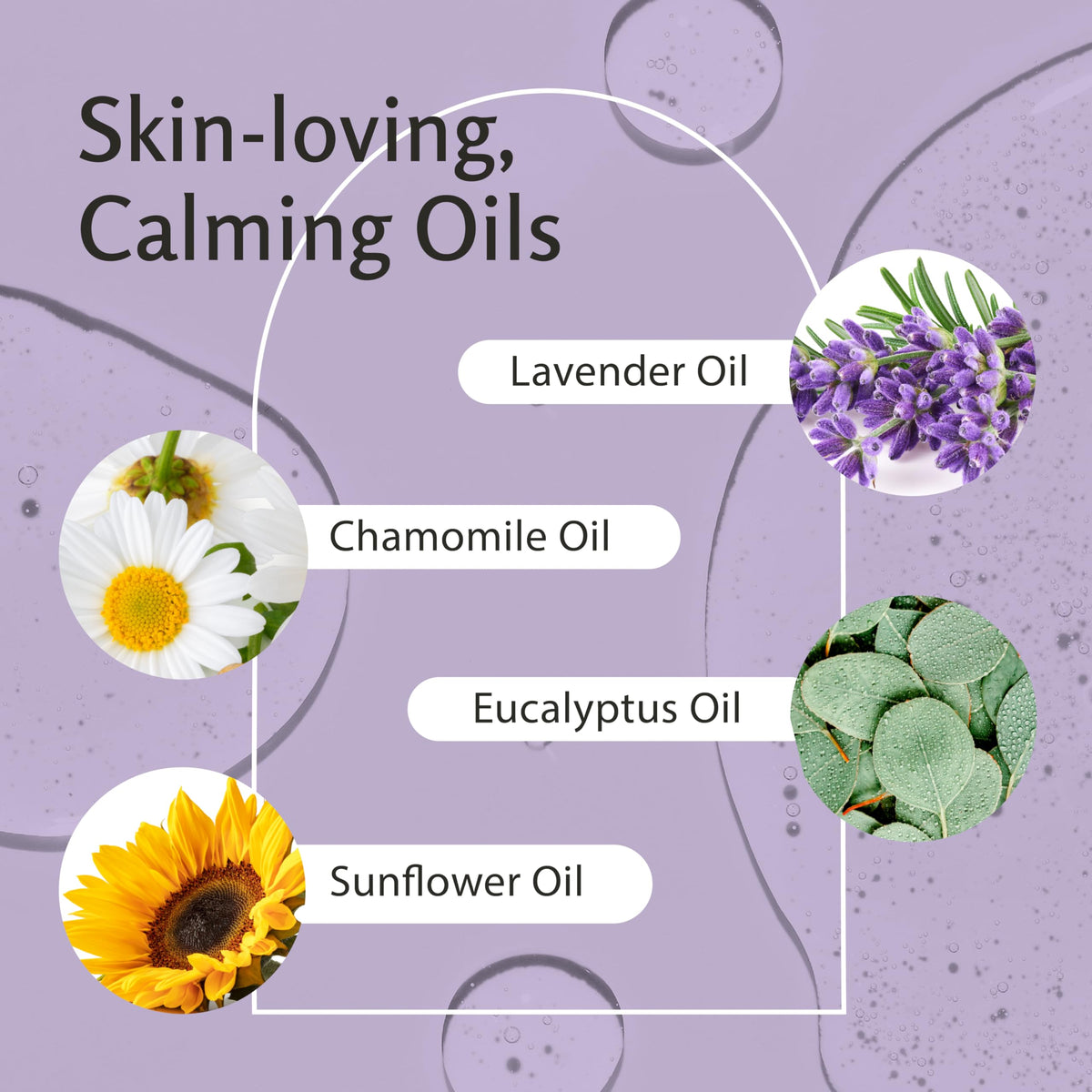 Lavender Collagen Massage Oil 16 Fl Oz F7848