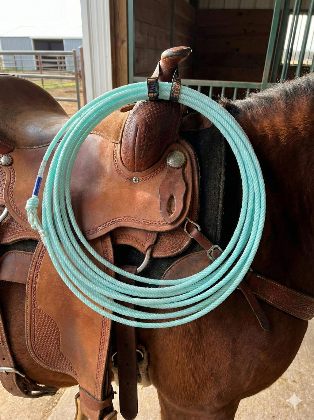 Elastic Nylon Rope Holder Strap for Saddle F358