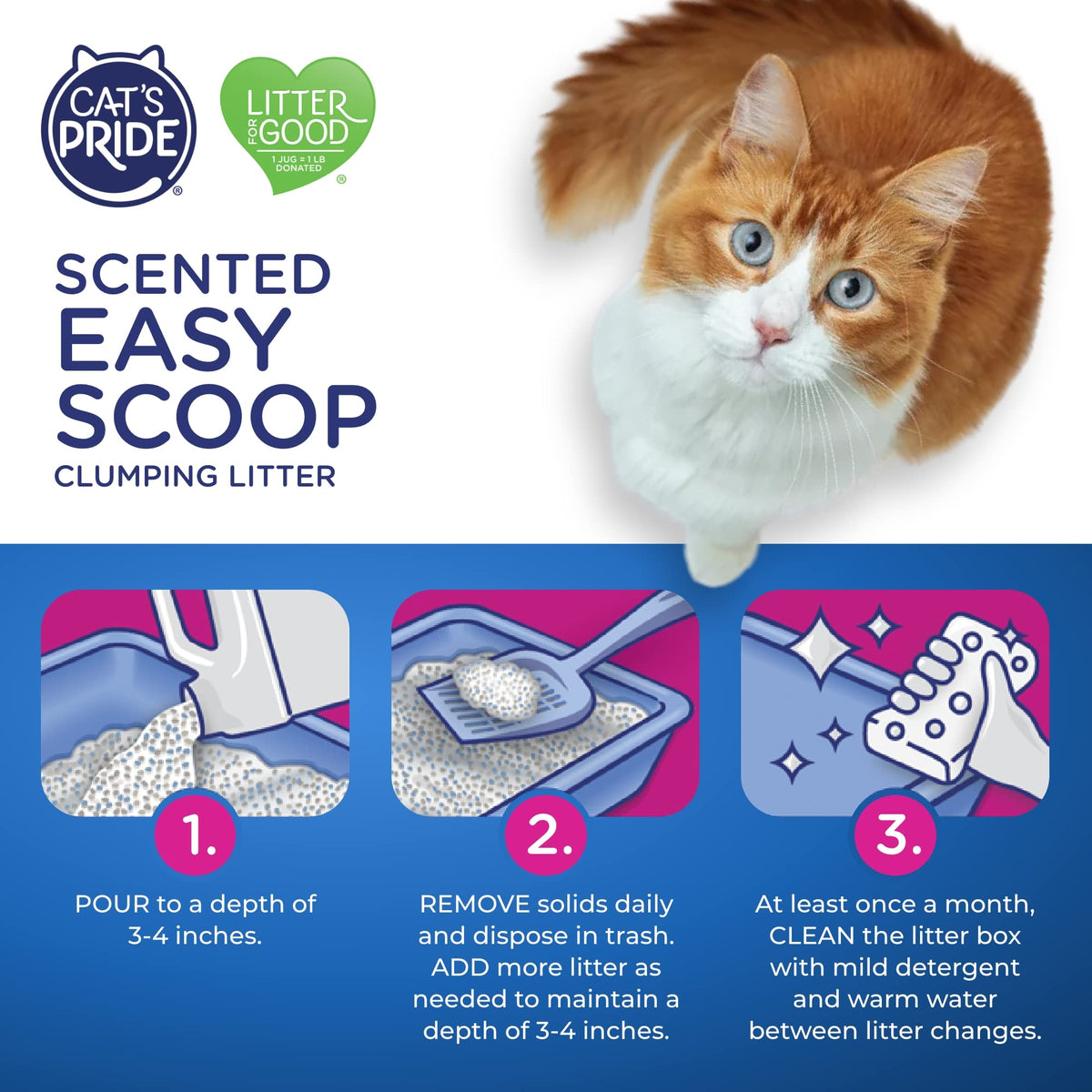 Scented Clumping Cat Litter 10lb Y2733